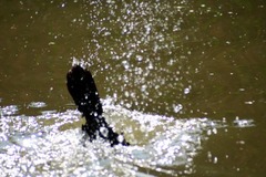 Killikus&reg; Fotographie